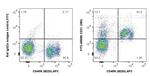 CD31 Antibody in Flow Cytometry (Flow)