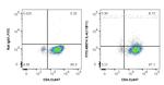 IL-4 Antibody in Flow Cytometry (Flow)