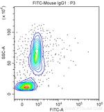 CD11c Antibody in Flow Cytometry (Flow)