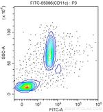 CD11c Antibody in Flow Cytometry (Flow)