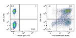 CD25 Antibody in Flow Cytometry (Flow)
