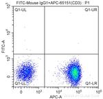CD19 Antibody in Flow Cytometry (Flow)