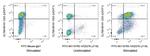 PD-1/CD279 Antibody in Flow Cytometry (Flow)