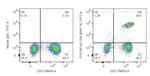 CD4 Antibody in Flow Cytometry (Flow)