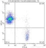 TER-119 Antibody in Flow Cytometry (Flow)