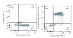 CD42b Antibody in Flow Cytometry (Flow)