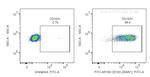 CD163 Antibody in Flow Cytometry (Flow)