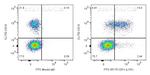 CD1c Antibody in Flow Cytometry (Flow)