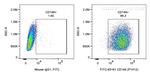 CD146 Antibody in Flow Cytometry (Flow)