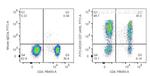 CD7 Antibody in Flow Cytometry (Flow)