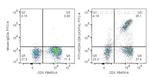 CD8 Antibody in Flow Cytometry (Flow)