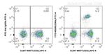 CD8a Antibody in Flow Cytometry (Flow)