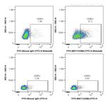 CD80 Antibody in Flow Cytometry (Flow)
