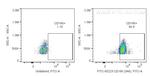ALCAM Antibody in Flow Cytometry (Flow)