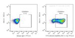 CD45RA Antibody in Flow Cytometry (Flow)