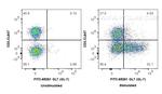 GL7 Antibody in Flow Cytometry (Flow)
