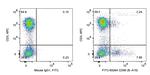 CD56 Antibody in Flow Cytometry (Flow)