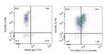 IL-12 Antibody in Flow Cytometry (Flow)