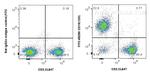 CD19 Antibody in Flow Cytometry (Flow)