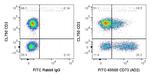 CD73 Antibody in Flow Cytometry (Flow)