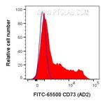 CD73 Antibody in Flow Cytometry (Flow)