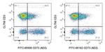 CD73 Antibody in Flow Cytometry (Flow)