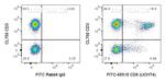 CD8 Antibody in Flow Cytometry (Flow)