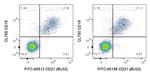 CD21 Antibody in Flow Cytometry (Flow)
