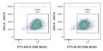 CD86 Antibody in Flow Cytometry (Flow)