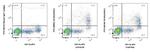 CD163 Antibody in Flow Cytometry (Flow)
