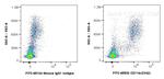 CD11b Antibody in Flow Cytometry (Flow)
