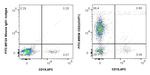 CD3 Antibody in Flow Cytometry (Flow)