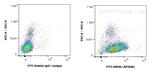 LRP1 Antibody in Flow Cytometry (Flow)