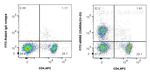 CD45RA Antibody in Flow Cytometry (Flow)