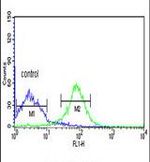 FKBP14 Antibody in Flow Cytometry (Flow)