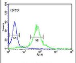 FKBP2 Antibody in Flow Cytometry (Flow)