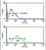 FKBP4 Antibody in Flow Cytometry (Flow)