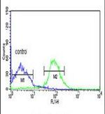 FKBP9 Antibody in Flow Cytometry (Flow)
