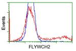 FLYWCH2 Antibody in Flow Cytometry (Flow)