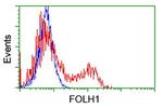 FOLH1 Antibody in Flow Cytometry (Flow)