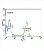 FOLR2 Antibody in Flow Cytometry (Flow)