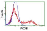 FOXI1 Antibody in Flow Cytometry (Flow)