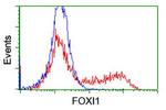 FOXI1 Antibody in Flow Cytometry (Flow)