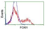 FOXI1 Antibody in Flow Cytometry (Flow)