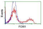 FOXI1 Antibody in Flow Cytometry (Flow)