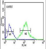 FOXP1 Antibody in Flow Cytometry (Flow)