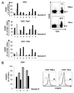 FOXP3 Antibody in Flow Cytometry (Flow)