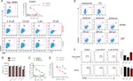 FOXP3 Antibody in Flow Cytometry (Flow)