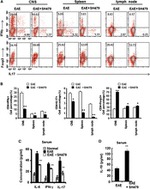 FOXP3 Antibody in Flow Cytometry (Flow)
