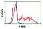 FSHB Antibody in Flow Cytometry (Flow)